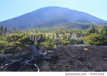 大松和富士山 大松和富士山 95013260