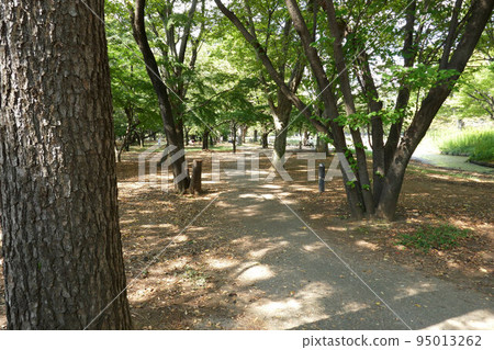 公園風光 95013262