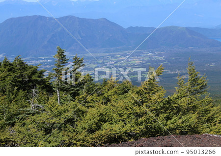 內部花園景觀 95013266