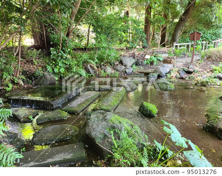 神田川源 95013276