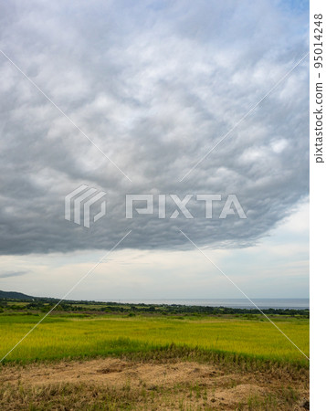 Rice paddies and mist mountains in summer in Hualien, Taiwan. Rice paddies and mist mountains in summer in Hualien, Taiwan. 95014248