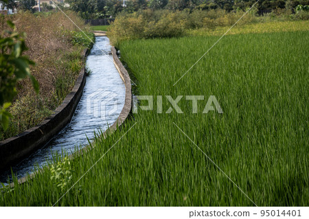 單車騎行 95014401