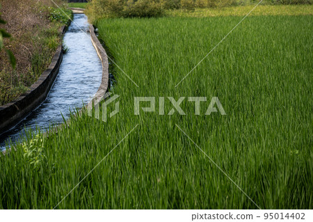 單車騎行 95014402