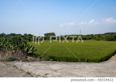 單車騎行 95014422