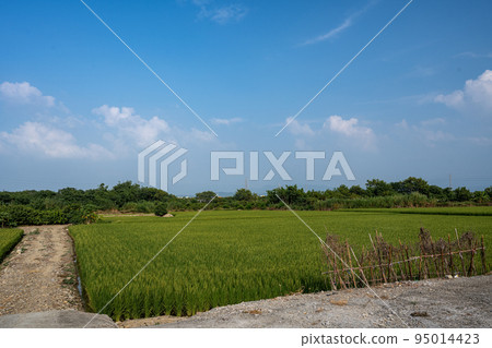 單車騎行 95014423