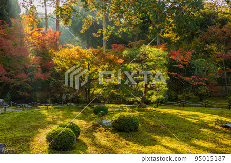 Autumn in Higashiyama, Kyoto Sokusoin Temple with colored leaves Autumn in Higashiyama, Kyoto Sokusoin Temple with colored leaves 95015187