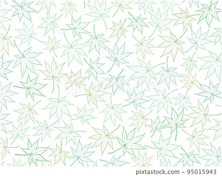 Maple background ④ (one side, green line drawing) Maple background ④ (one side, green line drawing) 95015943