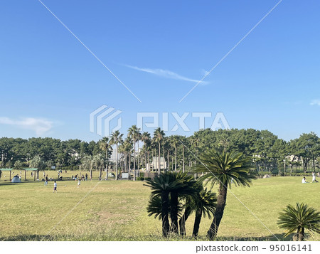 seaside park _ square 95016141