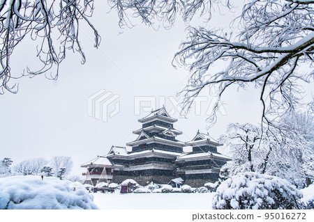長野縣松本市雪中的松本城 95016272