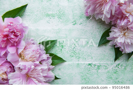 Background with pink peonies 95016486