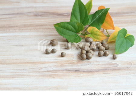 Bulbils harvested in autumn from Chinese yam, lat. Dioscorea opposita Bulbils harvested in autumn from Chinese yam, lat. Dioscorea opposita 95017042