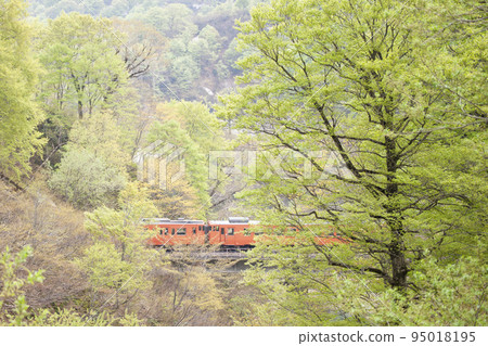 [Spring] Tadami Line Rokujurigoe Summit [Fresh Green] 95018195