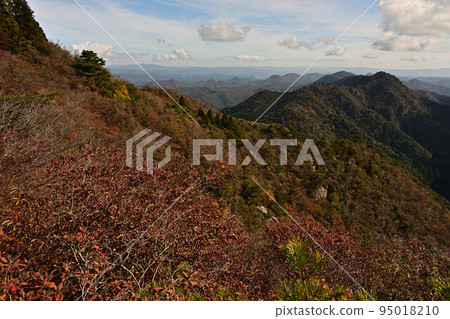 塔基山秋葉 95018210