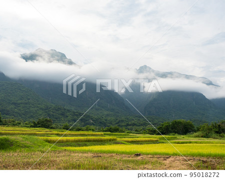 台東風景 95018272