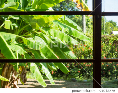 The scenery outside the wooden window 95018276