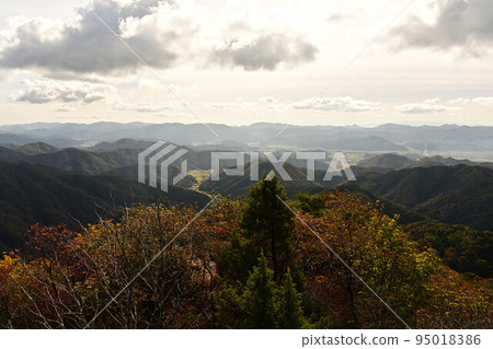 塔基山秋葉 塔基山秋葉 95018386
