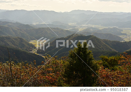 塔基山秋葉 95018387