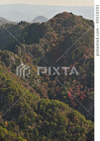 塔基山秋葉 塔基山秋葉 95018391