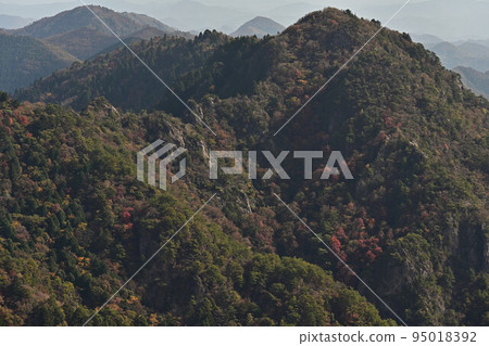 塔基山秋葉 塔基山秋葉 95018392