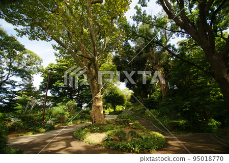 Minato-no-Mieru Oka Park 法國山區風景 Minato-no-Mieru Oka Park 法國山區風景 95018770