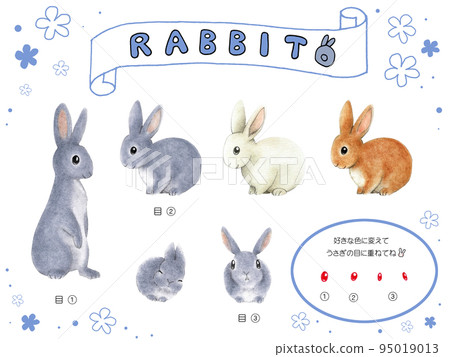 灰兔手繪插畫素材集,有棕兔、白兔和紅眼選項 灰兔手繪插畫素材集,有棕兔、白兔和紅眼選項 95019013