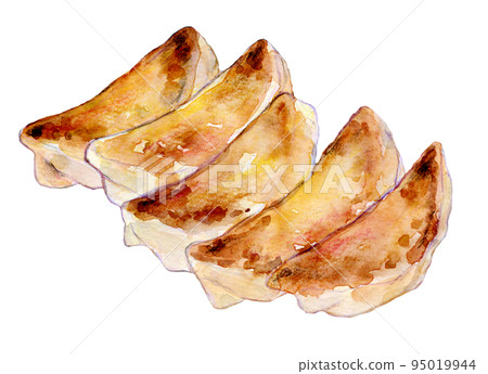 Grilled gyoza watercolor illustration 95019944