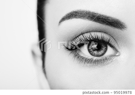 Female eye with long false eyelashes 95019978