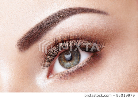 Female eye with long false eyelashes 95019979