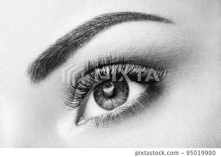 Female eye with long false eyelashes Female eye with long false eyelashes 95019980