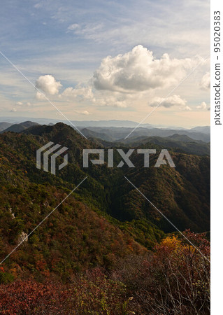 塔基山秋葉 塔基山秋葉 95020383