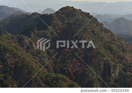 塔基山秋葉 塔基山秋葉 95020384