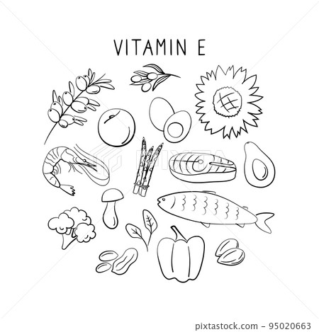 Vitamin E tocopherol. Groups of healthy products containing vitamins. Set of fruits, vegetables, meats, fish and dairy Vitamin E tocopherol. Groups of healthy products containing vitamins. Set of fruits, vegetables, meats, fish and dairy 95020663