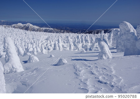 地藏山的霜覆蓋樹木，可以看到地藏山 Ver2 95020788