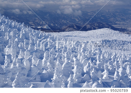 Snow-covered trees of Mt. Zao Jizo-dake shining silvery white 95020789