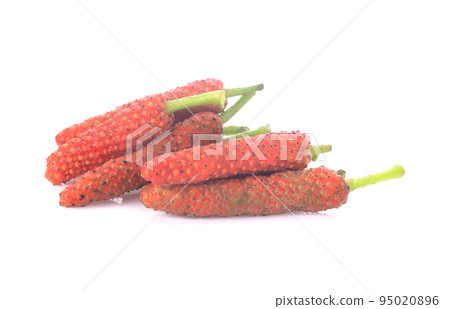 Piper retrofractum isolated on white background Piper retrofractum isolated on white background 95020896