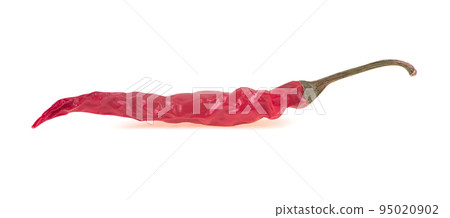 dried chili  isolated on white background 95020902