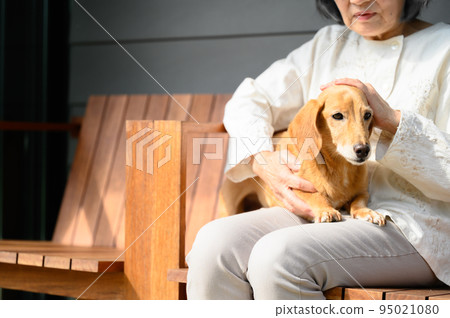 護理和老年寵物的形象 95021080
