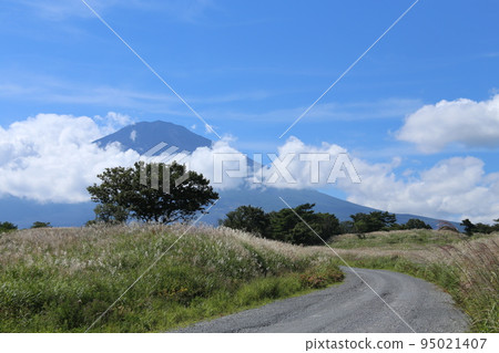 Mount Fuji from Gotemba　 95021407