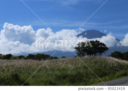 Mount Fuji from Gotemba　 95021419