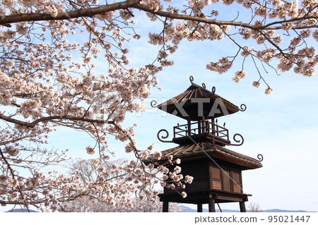Cherry blossoms and a restored pavilion in the ruins of a ring-moat settlement from the Yayoi period, Karako-Kagi Ruins 95021447