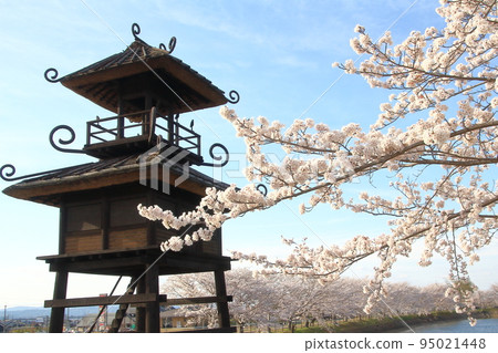Cherry blossoms and a restored pavilion in the ruins of a ring-moat settlement from the Yayoi period, Karako-Kagi Ruins Cherry blossoms and a restored pavilion in the ruins of a ring-moat settlement from the Yayoi period, Karako-Kagi Ruins 95021448