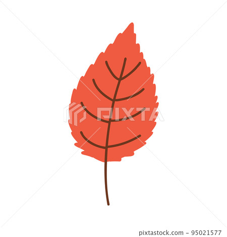 Autumn leaves. Foliage leaf silhouette. Forest vector illustration. 95021577