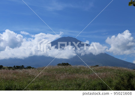 Mount Fuji from Gotemba　 95021608