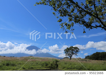 Mount Fuji from Gotemba　 95021666