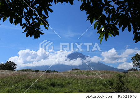 御殿場的富士山 95021676