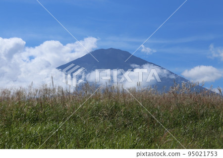 Mount Fuji from Gotemba　 95021753