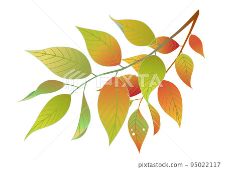 秋天的落葉 95022117