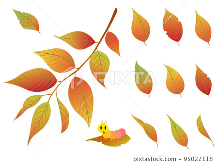 秋葉和毛毛蟲套裝 95022118