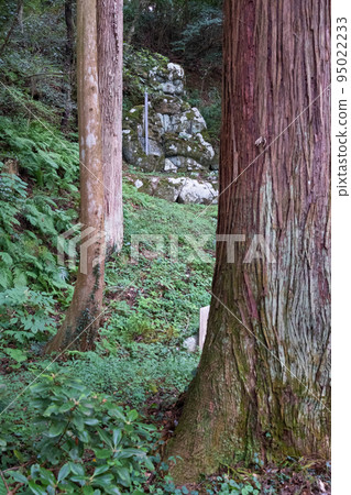 島根半島 Makuragiyama 的 Kazoji 寺的不動大石像 95022233
