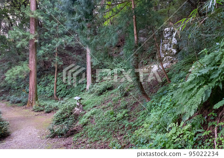 Fudo large stone statue at Kazoji Temple on Mt. Makuragiyama, Shimane Peninsula 95022234